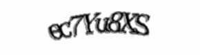 Security check image, please type the characters shown